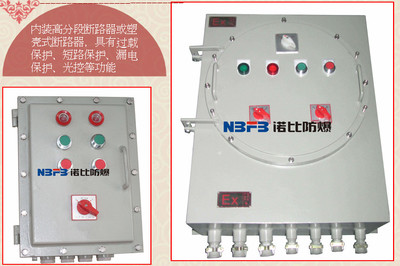 防爆照明与配电解决方案 BXMD系列在食品工业的应用